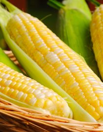 Grow Your Own Nutritious Foods for Healthy Bones Grow Your Own Nutritious Foods for Healthy Bones